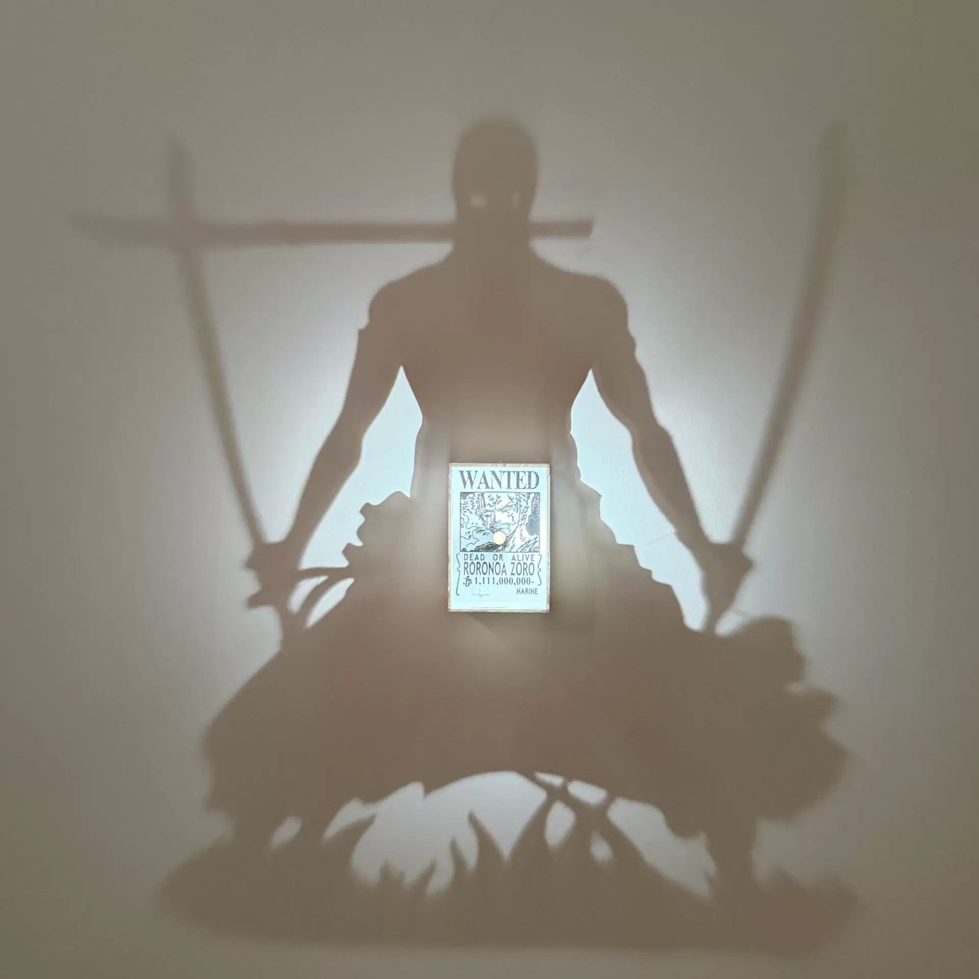 Zoro shadow projection lamp 3D wall art